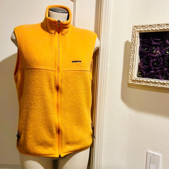 Patagonia Jackets & Blazers - Patagonia~Only The Best / Fleece Vest / Host Pick